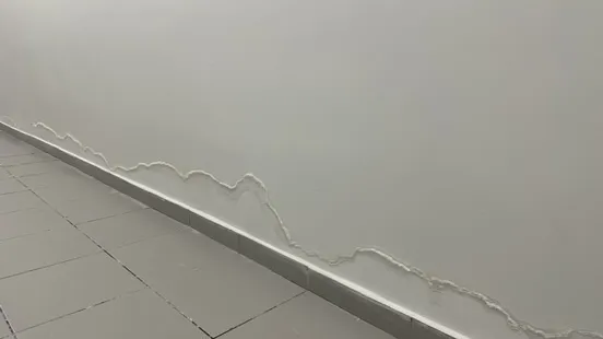 Nem Kutusu nedir nasıl çalışır