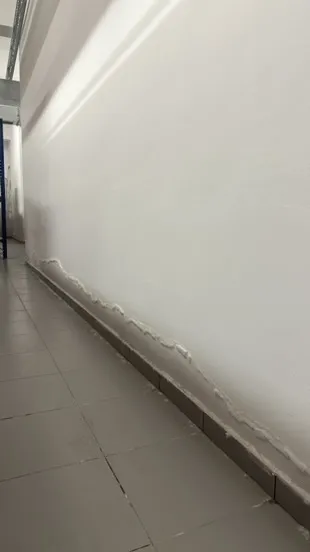 Yükselen nem nedir - duvar nem sorunları ve belirtileri